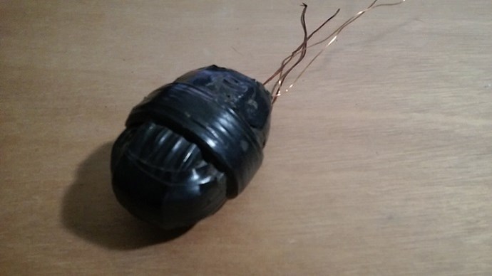 the egg